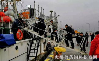 2019開門紅 橫沙國際漁港喜迎年度首艘外輪，助力畜牧漁業(yè)飼料銷售