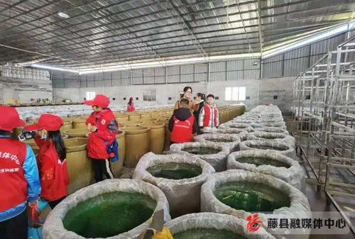 藤縣萃香食品廠 畜牧漁業(yè)飼料的創(chuàng)新與責任
