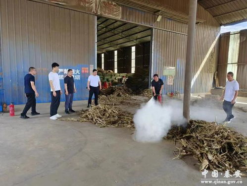 秦安獸藥飼料經(jīng)營及牧草加工企業(yè)安全生產督查紀實