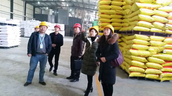 區(qū)畜牧獸醫(yī)局開展飼料企業(yè)安全生產節(jié)前大檢查 確保畜牧漁業(yè)飼料銷售安全