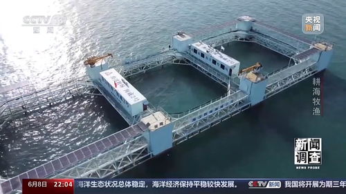 新聞?wù){(diào)查丨耕海牧漁 看海水養(yǎng)殖如何向深遠(yuǎn)海探索